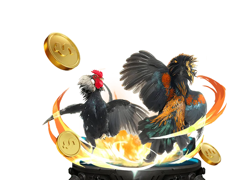 Tùy chọn cá cược đá gà đa dạng